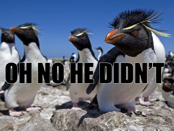 LouPenguinz's tweet image. HATERS GONNA HATE.  @QannikBear #penguins #FTW