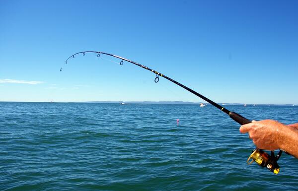 ReelAngler's tweet photo. A Reel Angler spends his Sunday on the #boat, not the shore. #Fishing #Sunday http://t.co/TCgcCcqZJv