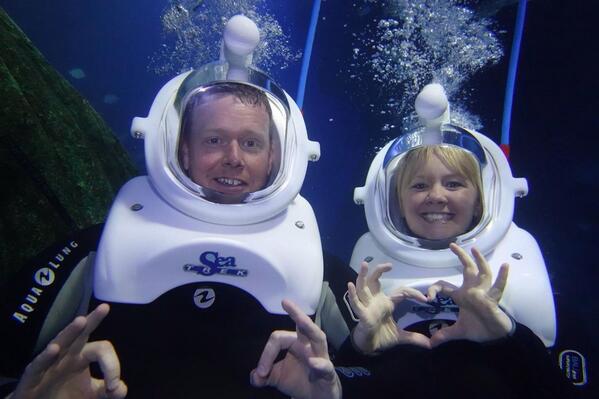 SEALIFEManc's tweet image. Great day with #seaTREK helping everyone cool off! Book yours now! #amazingdiscoveries #cooloff #ErnieTheTurtle