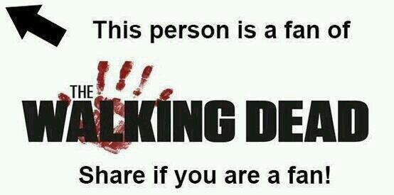 <a href="/TWDMemesUK/">Michelle 🏴󠁧󠁢󠁳󠁣󠁴󠁿</a>