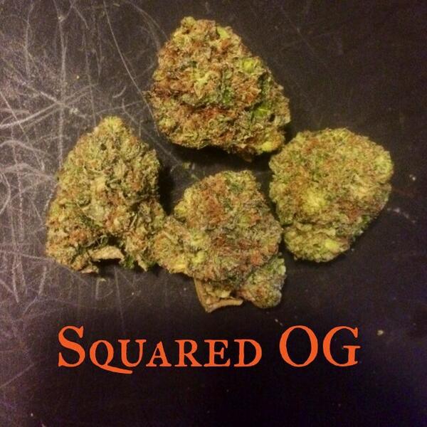 C4Inc420's tweet photo. http://t.co/Ip3e7l8cE2