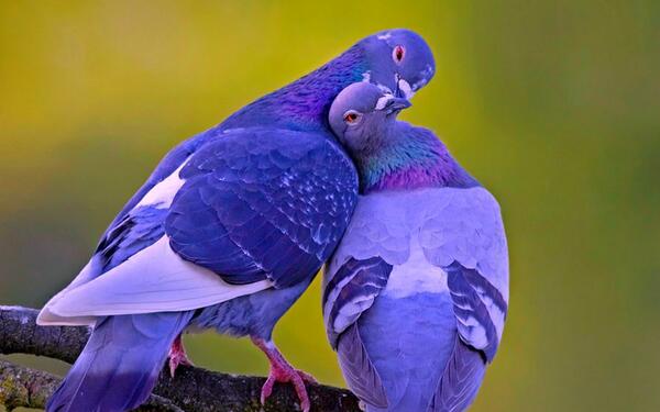 WeArePersian's tweet photo. There is always a reason to be kind. http://t.co/Lwn1mIFfdV