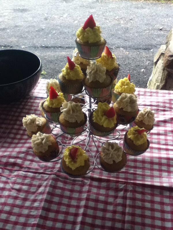 PattersonSeth's tweet image. My vegan cupcakes for my party.