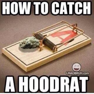 MitchellSwanski's tweet image. Works aswell #hoodtrap