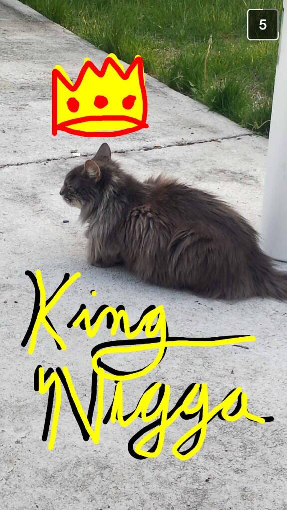 RootsTheRapper's tweet photo. Awesome picture done by Robby #catthatrunstheblock http://t.co/naUYdmOwhL
