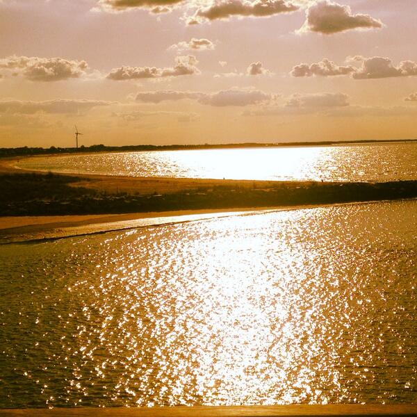 aalanbme tweet picture