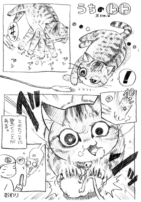 ねこまんが。第31話。また遅れだした…も、もどす、ぞ! 