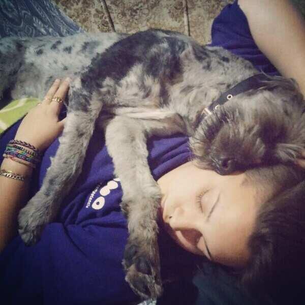 albaaa07's tweet photo. Le adoro #aironDog http://t.co/vZjbonrQ5Y
