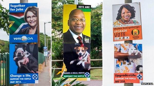 BBCAfrica's tweet photo. Animal group tweaks #SouthAfrica poll ads http://t.co/F0PxBhf958 #SAElection2014 http://t.co/xdEKKOwZyO