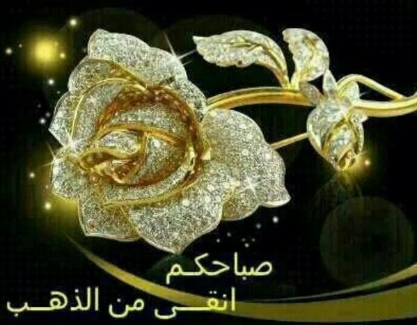 تم الإرسال بواسطة واتساب