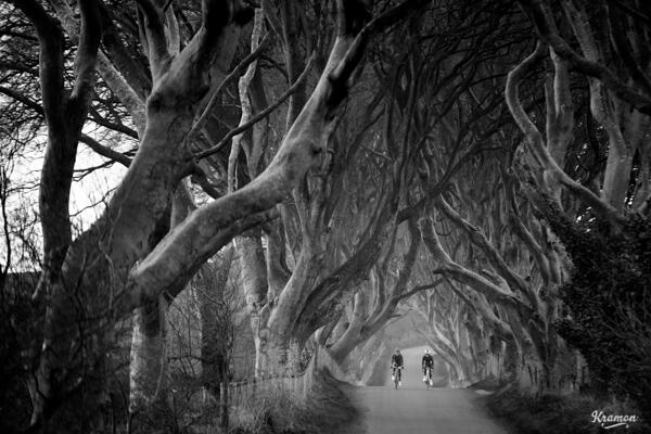 Join us in previewing stage 2 of <a href="/giroditalia/">Giro d'Italia</a> in Ireland (and getting lost along the way!) cyclingtips.com.au/2014/05/roadtr…