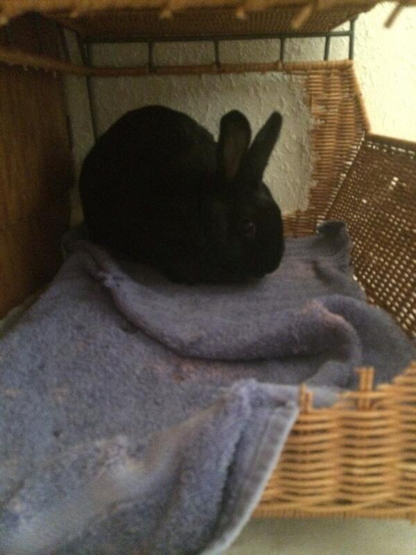 BunzEva's tweet photo. No. I don't want to come out. http://t.co/2qonV6ppSB