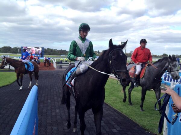 RacingVictoria's tweet photo. Glen Boss returns following his fifth win since Friday after partnering Vintage Drop to win R4 at Sportingbet Park http://t.co/Ubs8DFcooj