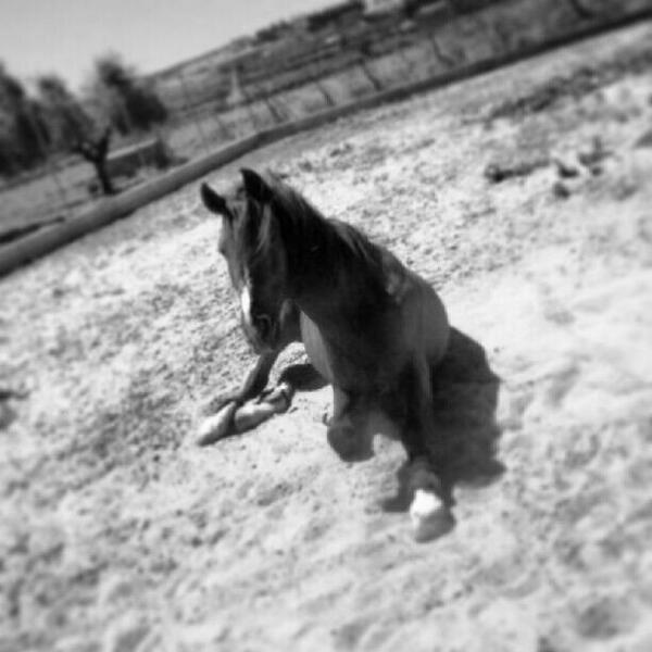 Delfi1i's tweet photo. Comencem la rutina. Ja s'ha acabat lo bo ... #estiuJAdeJA http://t.co/bFDxUwjz8b