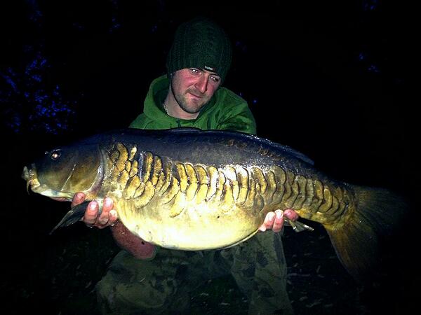 Stunning linear caught by Steve Elsbury part of a 5 carp catch using my Withy Pool Mix uner the counter special.
WOW