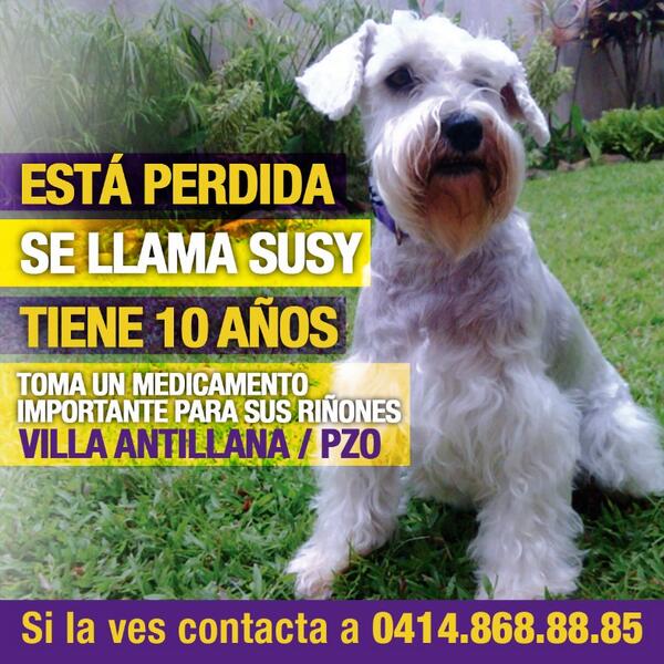 lesliearnaez's tweet photo. Hoy se cumplen 2 semanas que Susy no esta con fu familia. Ayúdenme a encontrarla @atilanov http://t.co/61rxQxIW08