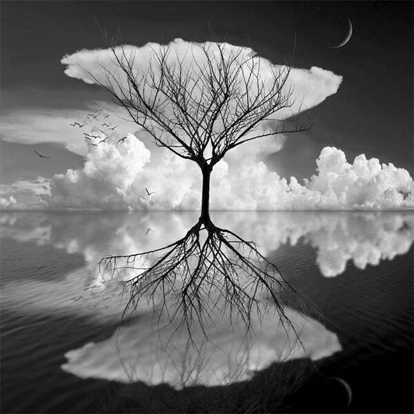 Gabriele_Corno tweet picture