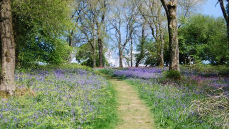 A new weekly walking group is starting up in Abergavenny. facebook.com/AbergavennyTIC…