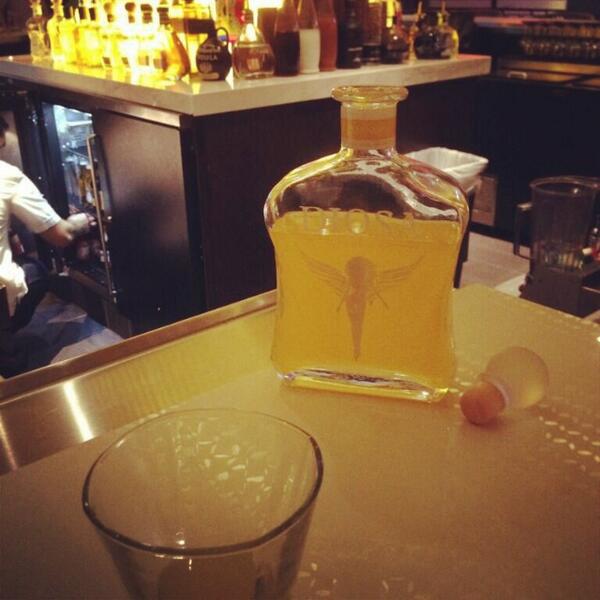 DIOSATEQUILA's tweet photo. Diosa in Orlando http://t.co/k0CcL26Fhg