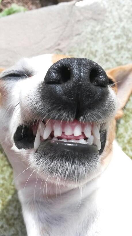 JadeMergen's tweet image. Quando vejo uma câmera em alguma loja