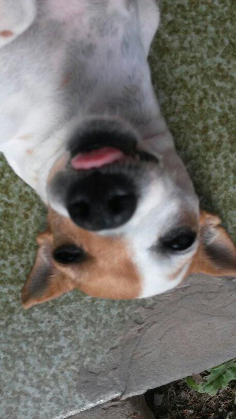 JadeMergen's tweet image. My bicho is v1d4 l0c4