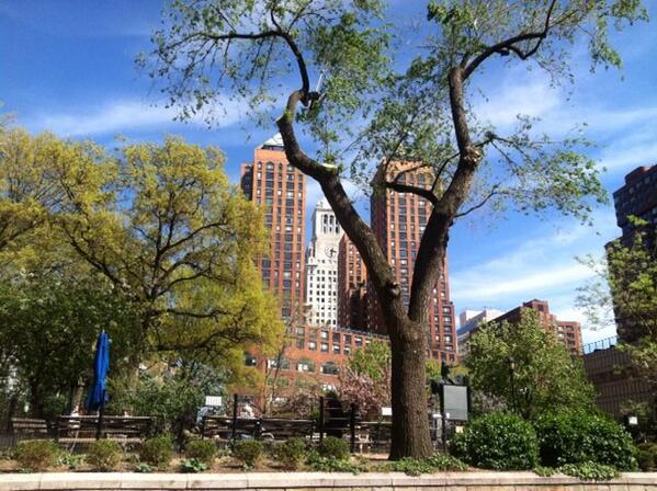 Spring in #NYC