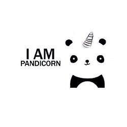 DOMENICOPATTI22's tweet image. I AM A #PANDICORN 🐼 🐴 ✨