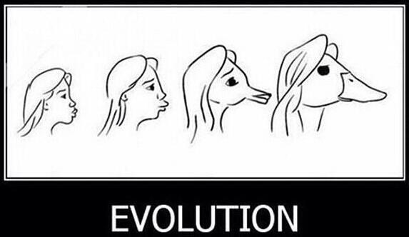 Evolution!