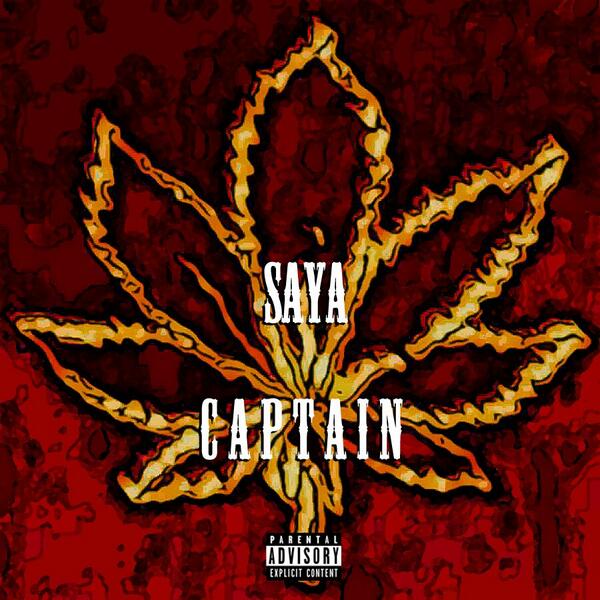 sayaclsc's tweet photo. 사야(SAYA),싱글앨범 'CAPTAIN'(5월2일발매)
모든 음원사이트에서 감상 가능합니다. http://t.co/UKMI6XHdRz