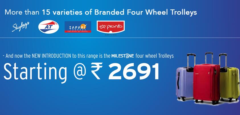 skybags trolley big bazaar