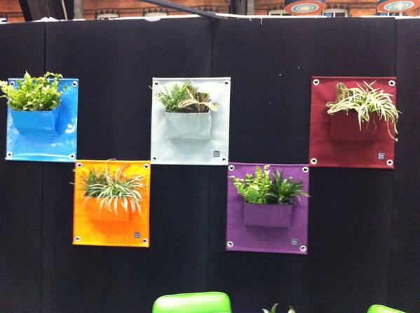 A vibrant an innovative way to bring plants indoors <a href="/urban_flora/">Urban Flora</a>