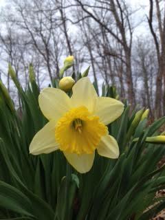 Popping up all around <a href="/CanoeBay/">Canoe Bay</a>