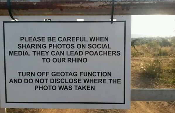 Gizmodo's tweet photo. Poachers can use your geotagged safari photos to hunt down rhinos http://t.co/NiPyVekDAA http://t.co/fTHPXqDsj8