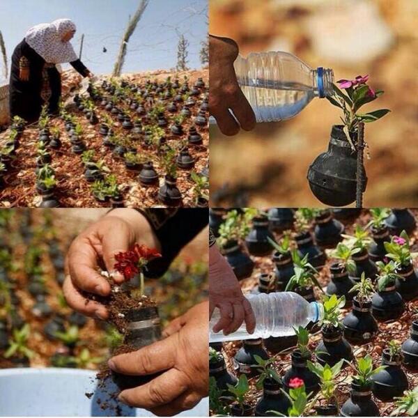 #Flowers above #Bombs 
this is what #palestinians do ,, and this is how they act
#ProudToBePalestinian