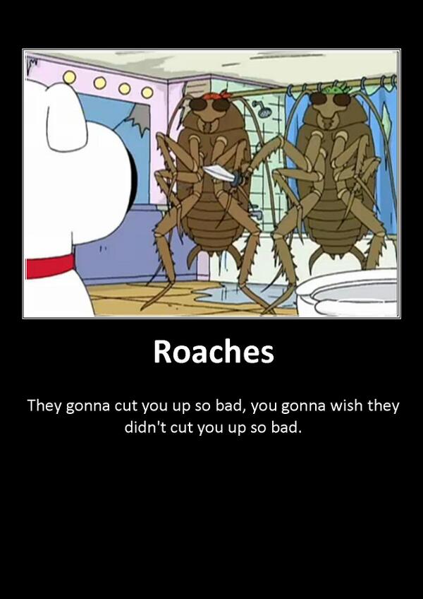 images Family Guy Bad Roaches badroaches hashtag on twitter