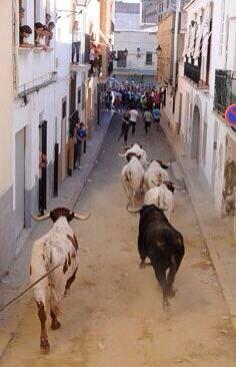 GDMachancoses's tweet photo. Encerrando cerriles en el Puig http://t.co/aFaW8UcHca