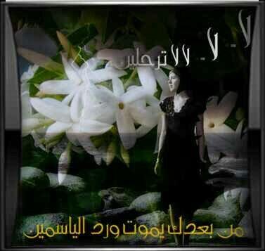 mop378 tweet picture