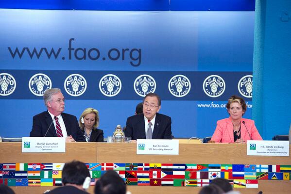 UN_News_Centre's tweet photo. #UNSG shares #SouthSudan's plight with #CommitteeOnWorldFoodSecurity http://t.co/IEibONZrMZ #Zerohungerchallenge http://t.co/sgJWBobt0s