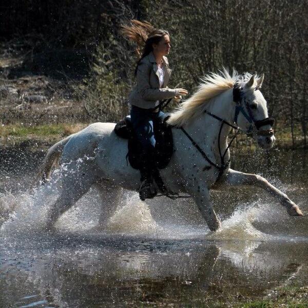 GeldingProblems's tweet image. Me and the boy last May during our photo shoot!