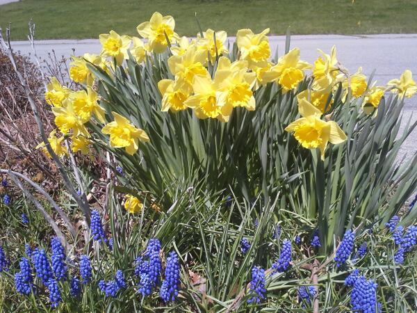 lorlangan tweet picture