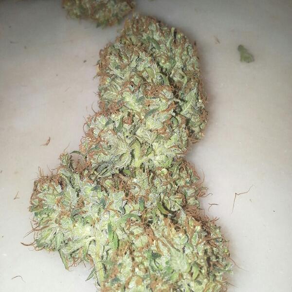 Jake420friends's tweet photo. Death star. #Denver420 #rt http://t.co/EfwVhEkvg7
