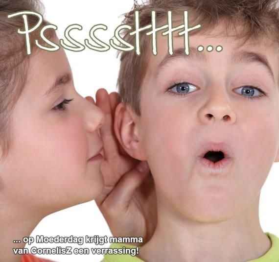 CornelisZ (@corneliszhuizen) on Twitter photo 