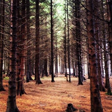 Jon Burroughs On Twitter Vetno Ireland A Place Of Wonder It S Mysterious Frightening Exciting Dreamlike And It Has A Hot Tub Http T Co Dtk18571hy jon burroughs on twitter vetno