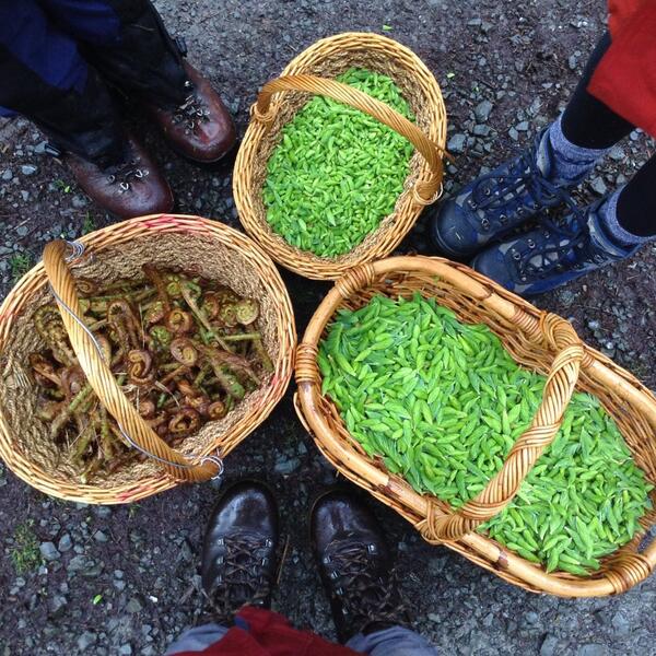 GeorgeNorrie_'s tweet photo. It was rainy today but this was a great view, @katriinaa93 @JacrossJames #juicy #jobdone #foraged #wildcumbria http://t.co/R2tRs1ksbP