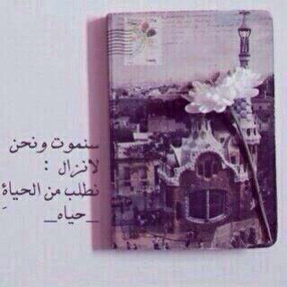 Lool210Senderla's tweet photo. http://t.co/gtE0voZspj