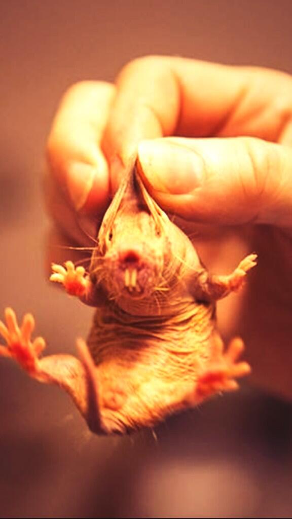 Have a peaceful night