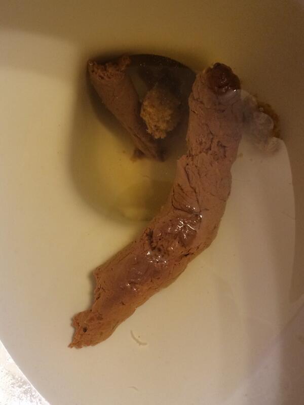 The_DailyDump's tweet photo. For a friend #bt #casualpoop http://t.co/SNY9umJEVN