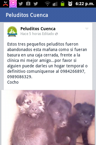 PeluditosCuenca's tweet photo. Ayuda por favor http://t.co/sWRXfXeBP2
