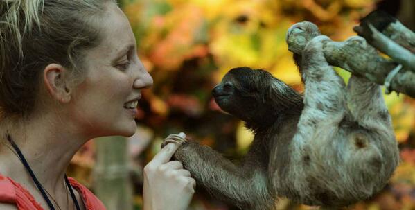 toyotarentcr's tweet photo. #CostaRica es parte de los 20 destinos ideales para amantes de los animales según el diario The Huffington Post. http://t.co/cZQwuQFr9f