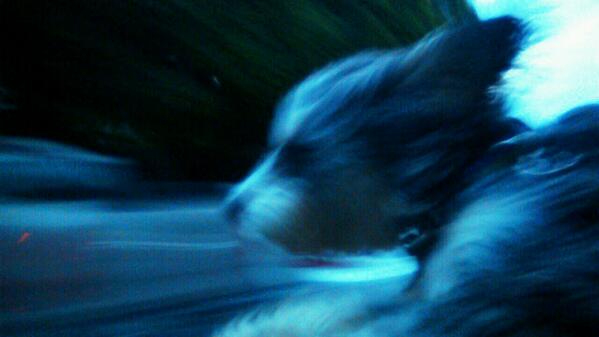 catpow3r's tweet image. Marte #lightspeed #ftldrive